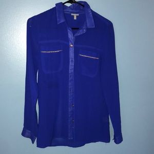 Royal Blue Button Down